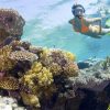catalina island snorkel excursion from punta cana in punta cana 697402