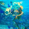 catalina island snorkeling saona dreams dominican republic