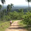 bicycletour los haitises national park